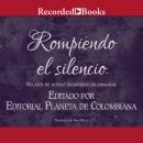 Rompiendo El Silenci Audiobook