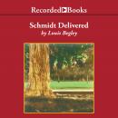 Schmidt Delivered Audiobook