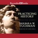 Practicing History: Selected Essays Audiobook