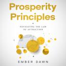 Prosperity Principles: Navigating the Law of Attraction Audiobook