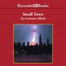 Small Town Audiobook