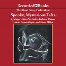 The Short Story Collection:  Spooky, Mysterious Tales Audiobook