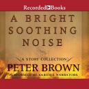 A Bright Soothing Noise Audiobook
