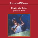 Under the Lake, Stuart Woods