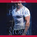 A Perfect Storm Audiobook