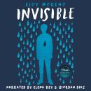 Invisible Audiobook