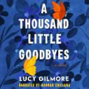 A Thousand Little Goodbyes Audiobook
