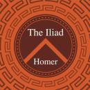 The Iliad Audiobook