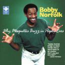 Why Mosquitos Buzz in People's Ears Audiobook