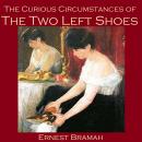 The Curious Circumstances of the Two Left Shoes Audiobook