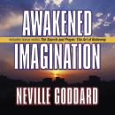 Awakened Imagination: Includes The Search and Prayer