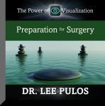 Preparation for Surgery, Lee Pulos