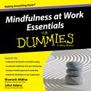 Mindfulness at Work Essentials for Dummies Audiobook