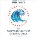 The Corporate Culture Survival Guide: 3rd edition