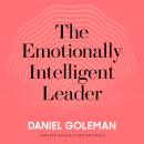 The Emotionally Intelligent Leader Audiobook