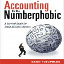 Accounting for the Numberphobic: A Survival Guide for Small Business Owners Audiobook