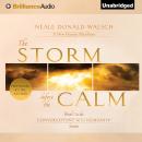 The Storm Before the Calm Audiobook