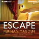 Escape Audiobook
