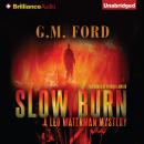 Slow Burn Audiobook