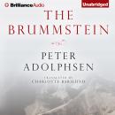 The Brummstein Audiobook
