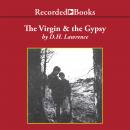 The Virgin and the Gypsy Audiobook