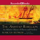 The Amistad Rebellion Audiobook