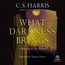 What Darkness Brings