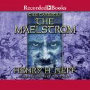 The Maelstrom Audiobook