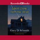What Came From the Stars, Gary D. Schmidt