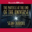 The Particle at the End of the Universe: How the Hunt for the Higgs Boson Leads Us to the Edge of a New World