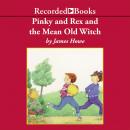 Pinky and Rex and the Mean Old Witch Audiobook