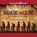 Breaking the Chains: African American Slave Resistance Audiobook