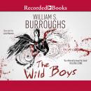 Wild Boys Audiobook