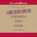 Americanah Audiobook