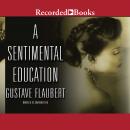 A Sentimental Education Audiobook