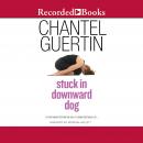 Stuck In Downward Dog Audiobook