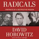 Radicals: Portraits of a Destructive Passion Audiobook