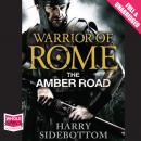 The Amber Road Audiobook