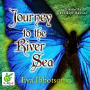 Journey to the River Sea Audiobook