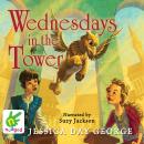 Wednesdays in the Tower Audiobook
