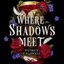 Where Shadows Meet: The instant Sunday Times bestselling sapphic vampire romantasy Audiobook