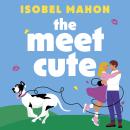 The Meet Cute: The BRAND NEW feel-good, heartwarming and hilarious Irish rom-com perfect for Summer  Audiobook