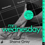 Working Girl: Mr Wednesday Audiobook