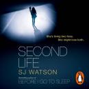 Second Life, S J Watson