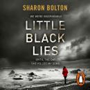 Little Black Lies Audiobook