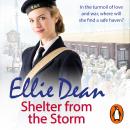 Shelter from the Storm Audiobook