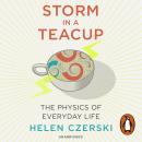 Storm in a Teacup: The Physics of Everyday Life Audiobook