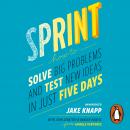 Sprint: How To Solve Big Problems and Test New Ideas in Just Five Days Audiobook