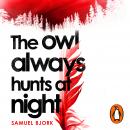 The Owl Always Hunts at Night: (Munch and Krüger Book 2) Audiobook