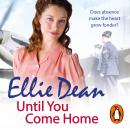 Until You Come Home Audiobook
